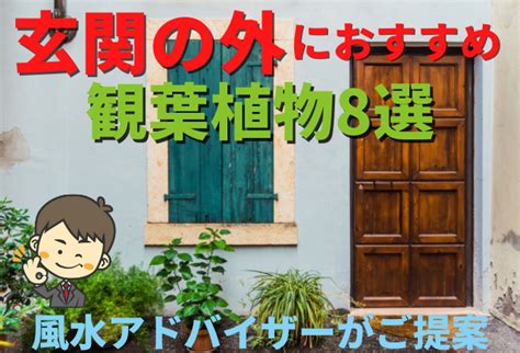 植物枯萎風水|【植物風水】家の中で植物が枯れてしまった場合は風水目線で。